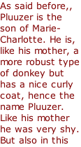 As said before,, Pluuzer is the son of Marie-Charlotte. He is, like his mother, a more robust type of donkey but has a nice curly coat, hence the name Pluuzer. Like his mother he was very shy. But also in this