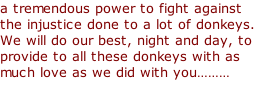 a tremendous power to fight against the injustice done to a lot of donkeys. We will do our best, night and day, to provide to all these donkeys with as much love as we did with you………