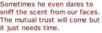 Sometimes he even dares to sniff the scent from our faces. The mutual trust will come but it just needs time.