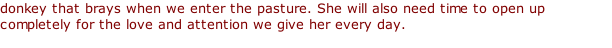 donkey that brays when we enter the pasture. She will also need time to open up completely for the love and attention we give her every day.