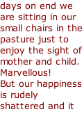 days on end we are sitting in our small chairs in the pasture just to enjoy the sight of mother and child. Marvellous! But our happiness is rudely shattered and it