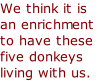 We think it is an enrichment to have these five donkeys living with us.