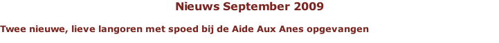 Nieuws September 2009  Twee nieuwe, lieve langoren met spoed bij de Aide Aux Anes opgevangen