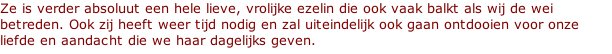 Ze is verder absoluut een hele lieve, vrolijke ezelin die ook vaak balkt als wij de wei betreden. Ook zij heeft weer tijd nodig en zal uiteindelijk ook gaan ontdooien voor onze liefde en aandacht die we haar dagelijks geven.