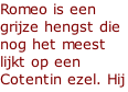 Romeo is een grijze hengst die nog het meest lijkt op een Cotentin ezel. Hij