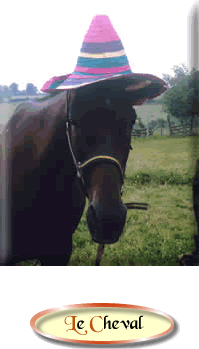 #Paard