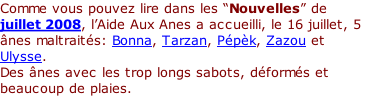 Comme vous pouvez lire dans les “Nouvelles” de juillet 2008, l’Aide Aux Anes a accueilli, le 16 juillet, 5 ânes maltraités: Bonna, Tarzan, Pépèk, Zazou et Ulysse. Des ânes avec les trop longs sabots, déformés et beaucoup de plaies.