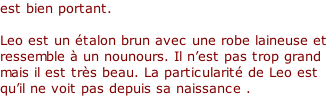 est bien portant.  Leo est un étalon brun avec une robe laineuse et ressemble à un nounours. Il n’est pas trop grand mais il est très beau. La particularité de Leo est qu’il ne voit pas depuis sa naissance .