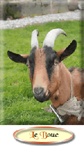 #Bok