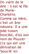 On vient de le dire : il est le fils de Marie-Charlotte. Comme sa mère, c’est un âne robuste. Il a une jolie toison bouclée, d’où son nom de Pluuzer (ce qui est une dérivation de ‘bouclé’ en