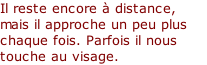 Il reste encore à distance, mais il approche un peu plus chaque fois. Parfois il nous touche au visage.