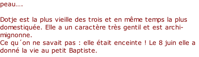 peau….  Dotje est la plus vieille des trois et en même temps la plus domestiquée. Elle a un caractère très gentil et est archi-mignonne. Ce qu´on ne savait pas : elle était enceinte ! Le 8 juin elle a donné la vie au petit Baptiste.